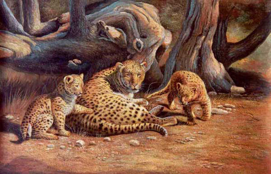 Leopard Paintings N004