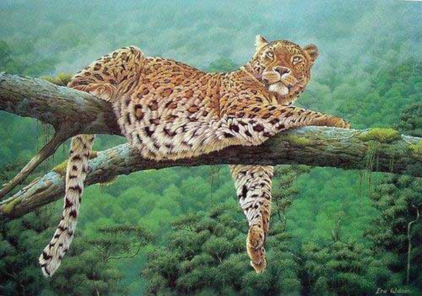 Leopard Paintings N005