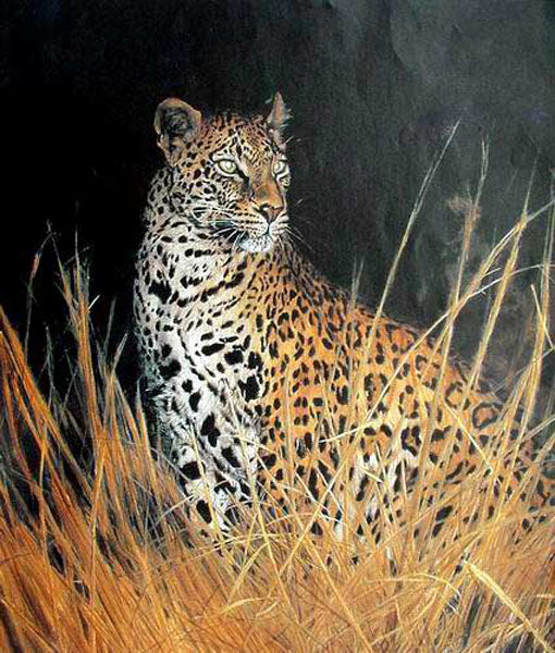 Leopard Paintings N006