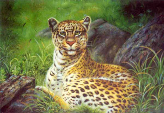 Leopard Paintings N012