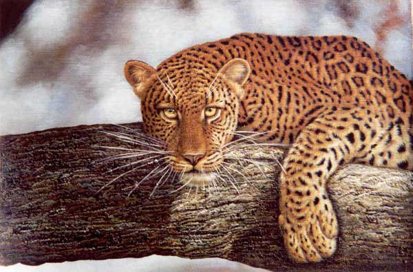 Leopard Paintings N013