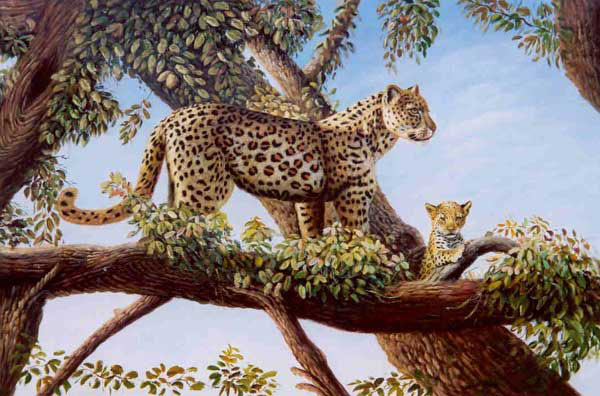 Leopard Paintings N014