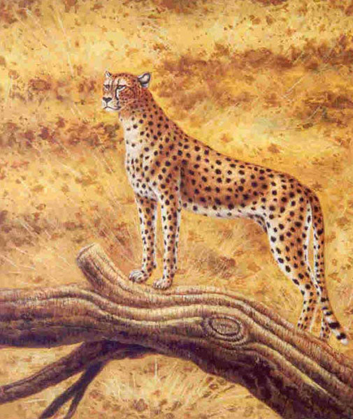 Leopard Paintings N015