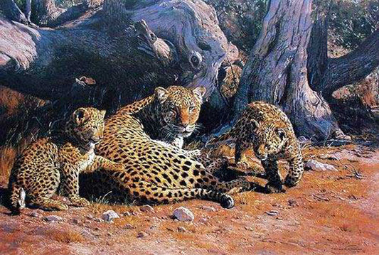 Leopard Paintings N017