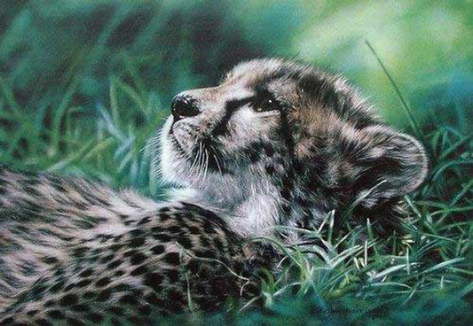 Leopard Paintings N018