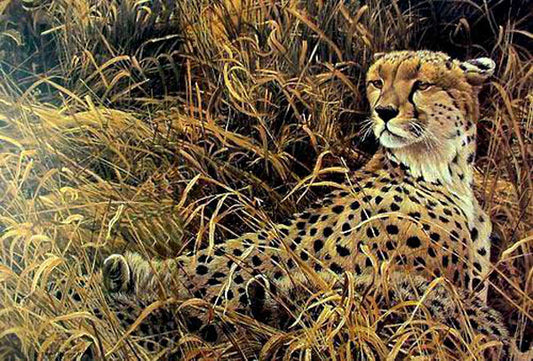 Leopard Paintings N019