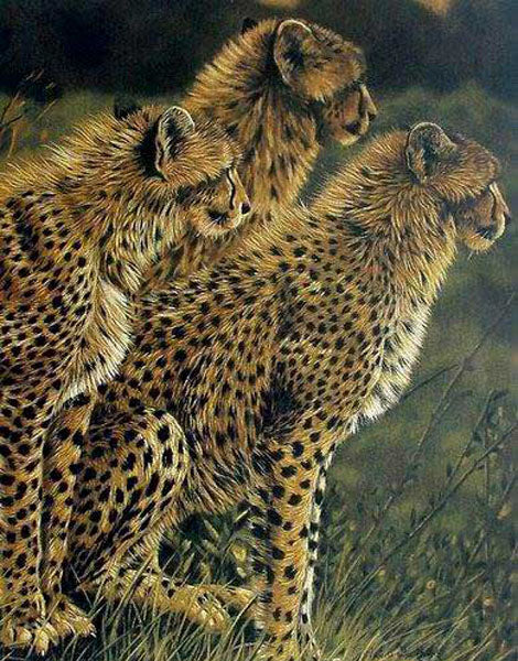 Leopard Paintings N022