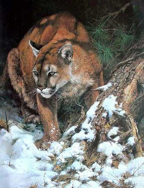 Lion Paintings N008