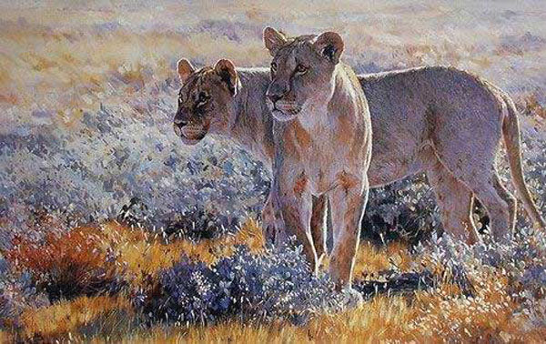 Lion Paintings N009