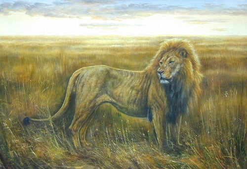 Lion Paintings N011