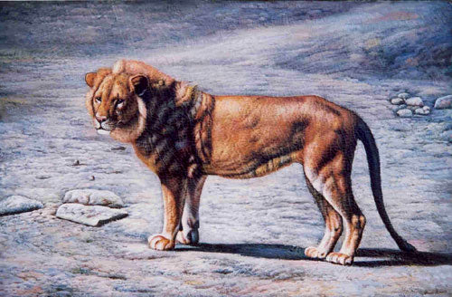 Lion Paintings N013