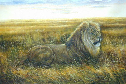 Lion Paintings N016