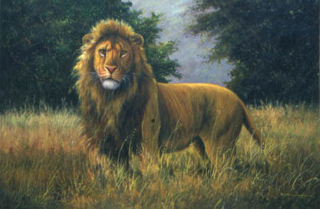 Lion Paintings N019