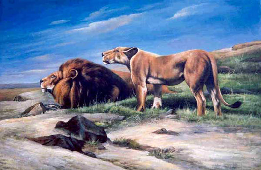 Lion Paintings N021