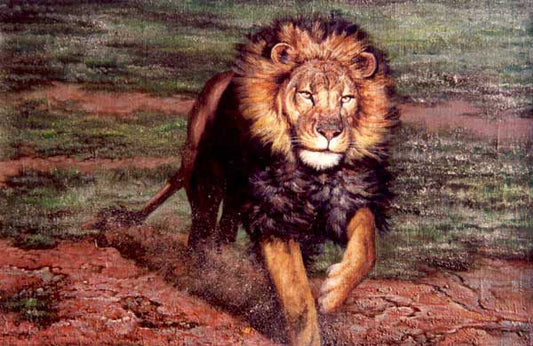 Lion Paintings N023