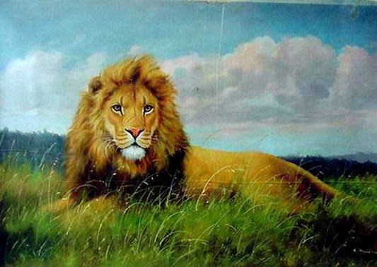 Lion Paintings N029