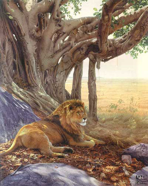 Lion Paintings N031