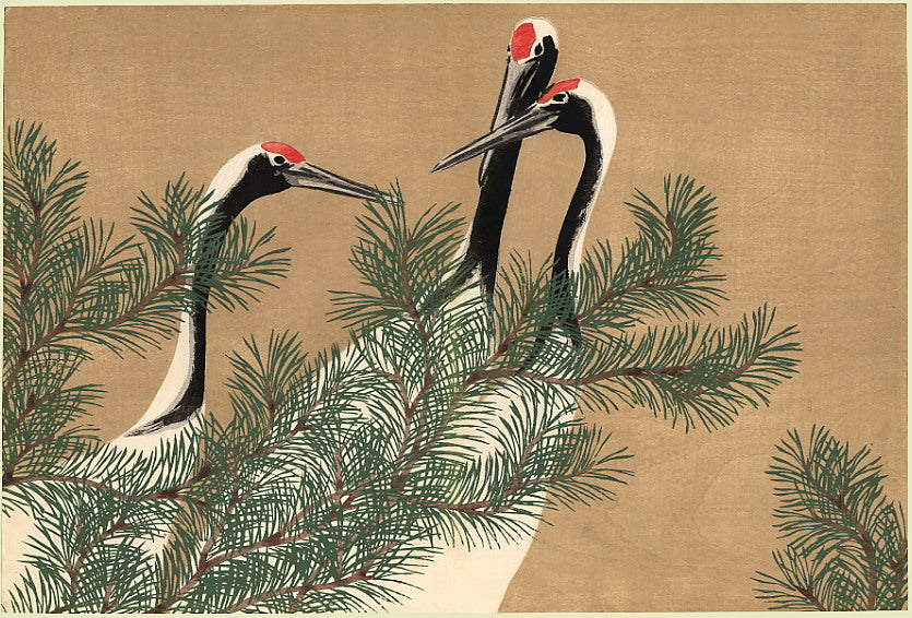 Manchurian Cranes