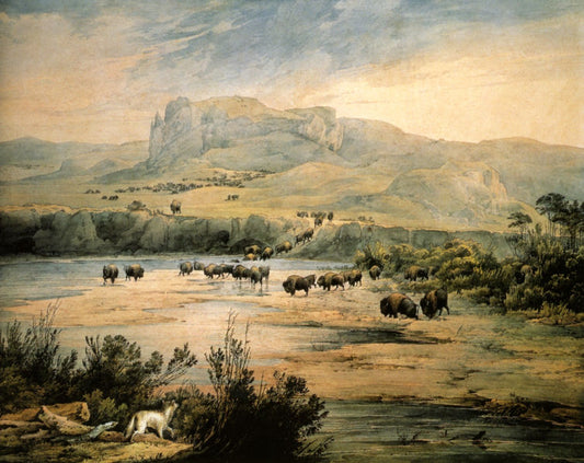 Landscape With Herd Of Buffalo On The Upper Missouri