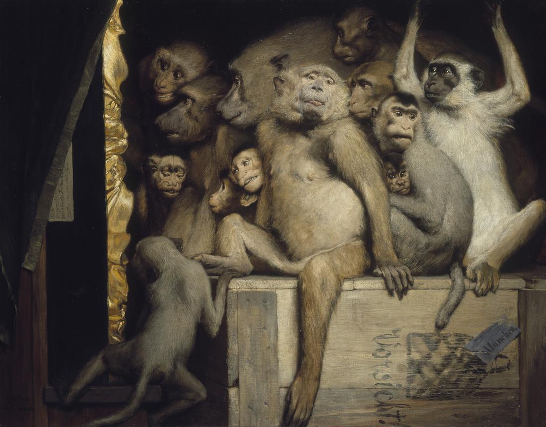 Monkeys as Judges of Art