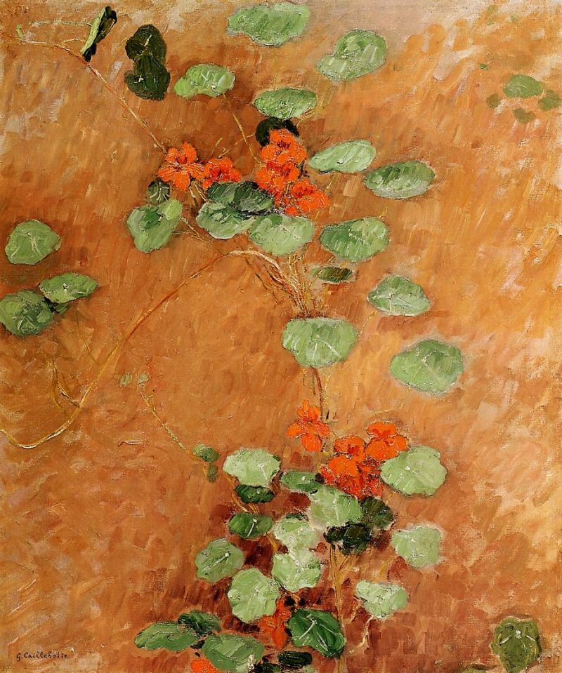 Nasturtiums