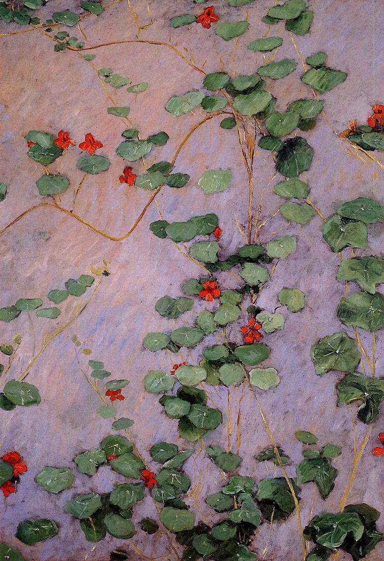 Nasturtiums b