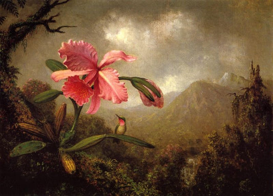 Orchid and Hummingbird near a Mountain Waterfall