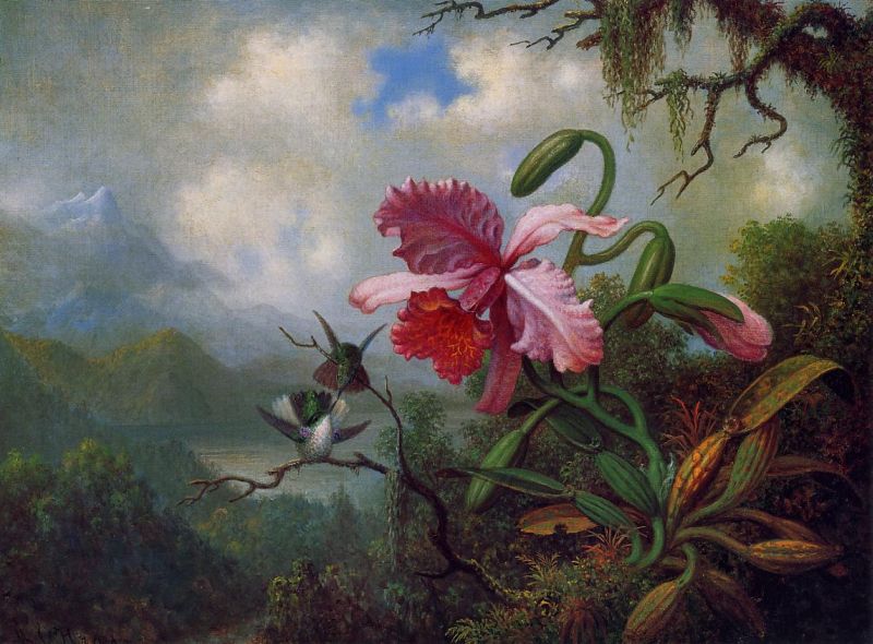 Orchid and Hummingbirds near a Mountain Lake