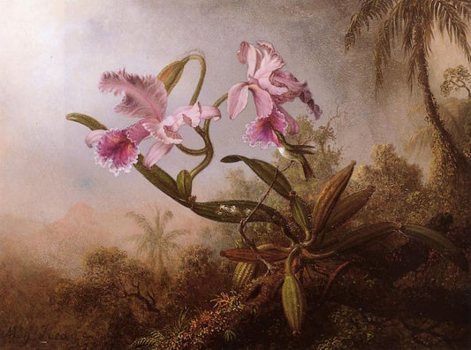 Orchids and Hummingbird II