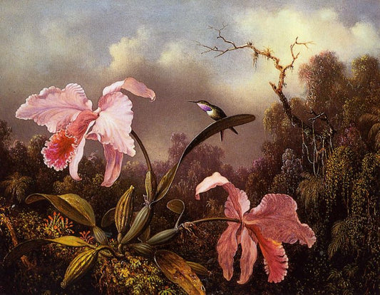 Orchids and Hummingbird III