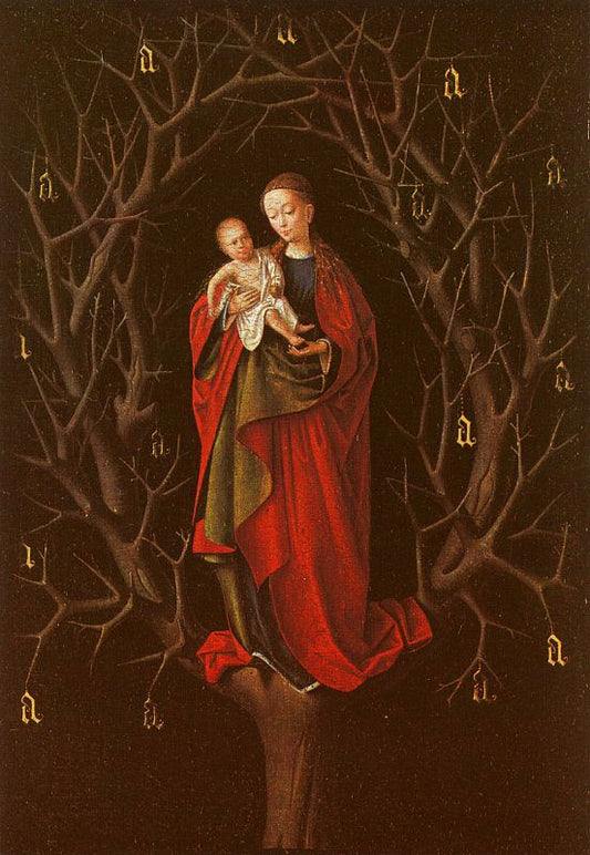 Our Lady Of The Barren Tree