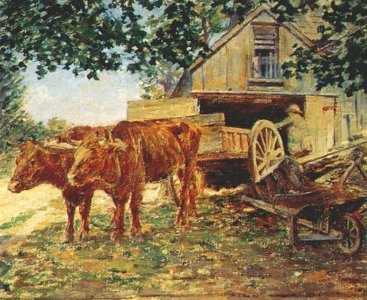 Oxen