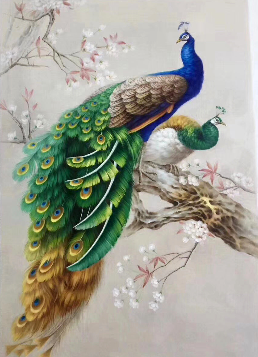 Peacock Paintings N10