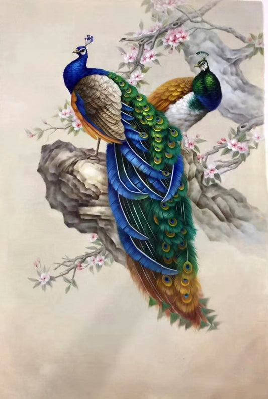 Peacock Paintings N13