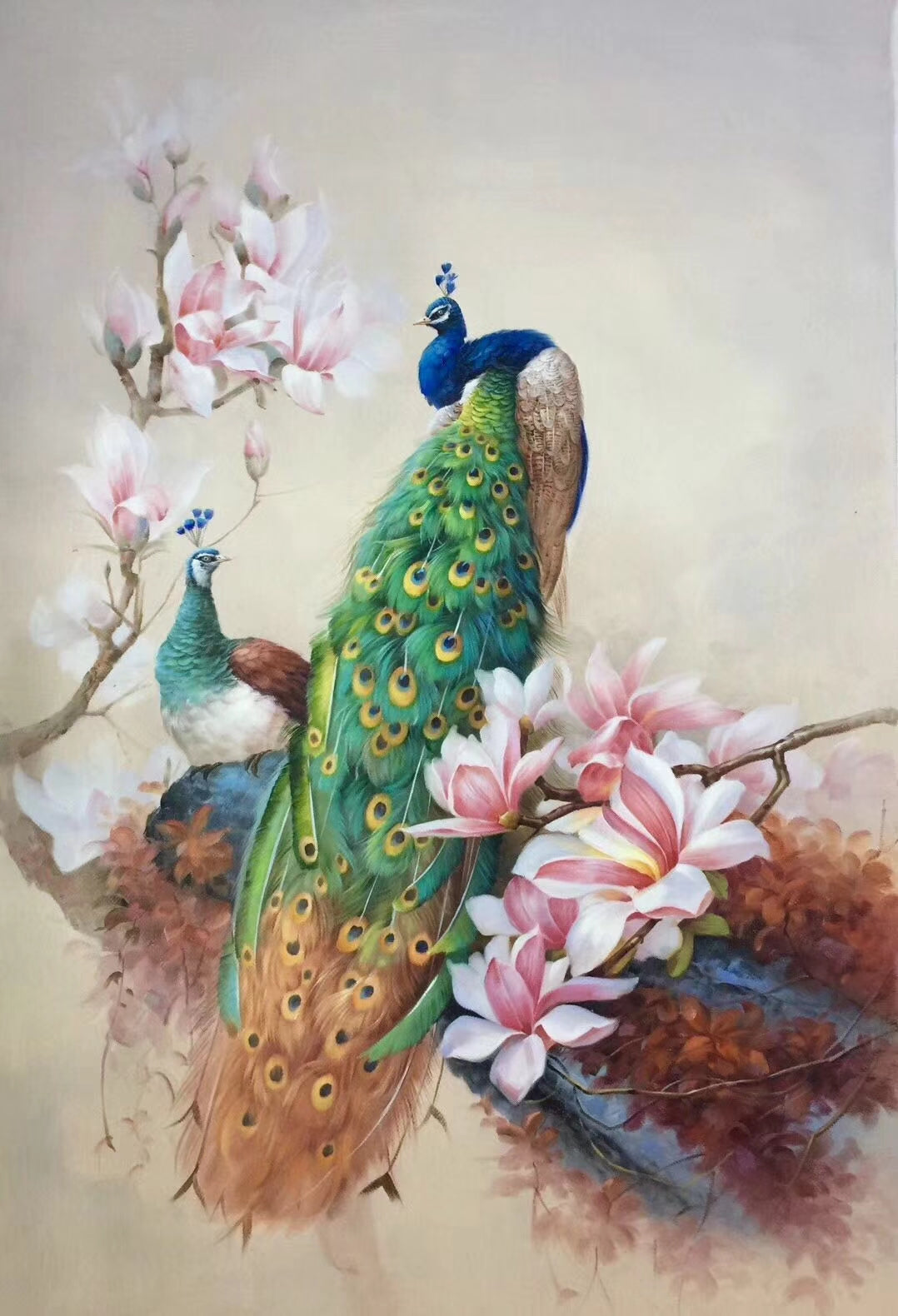 Peacock Paintings N14