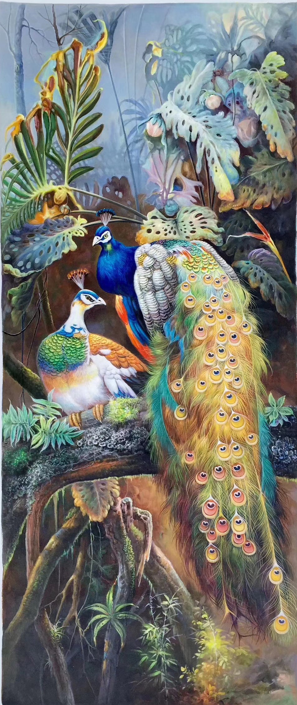 Peacock Paintings N16