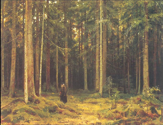 In the Forest of Countess Mordvinova, Petergof