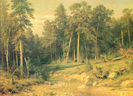 Pine Forest II