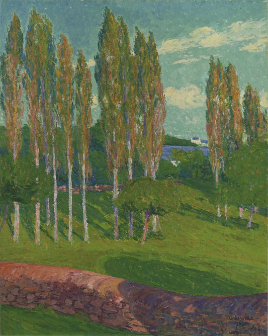 Poplars in Spring