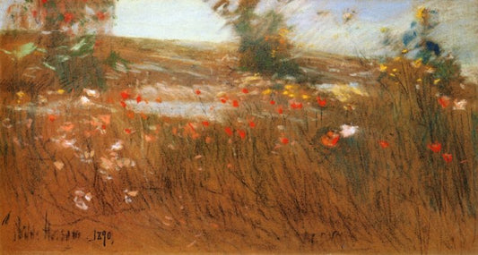 Poppies, Isles of Shoals