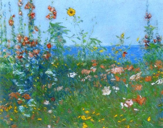 Poppies, Isles of Shoals II