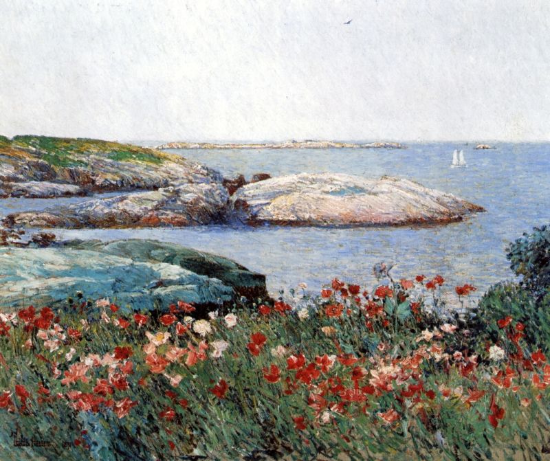 Poppies, Isles of Shoals III