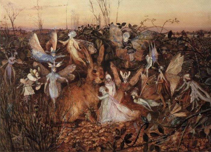 Rabbit Among the Fairies