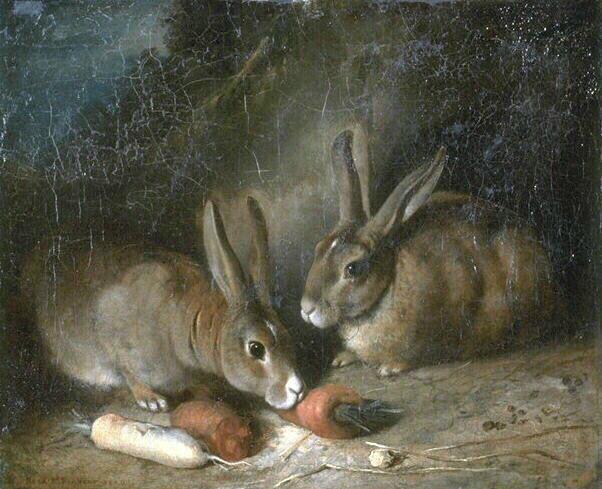 Rabbits