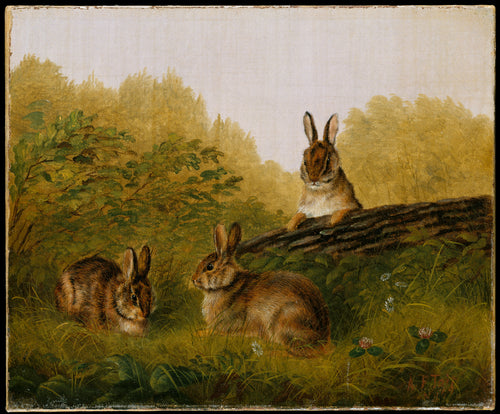 Rabbits on a Log