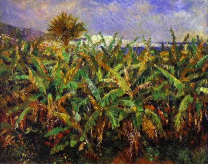 Field of Banana Trees