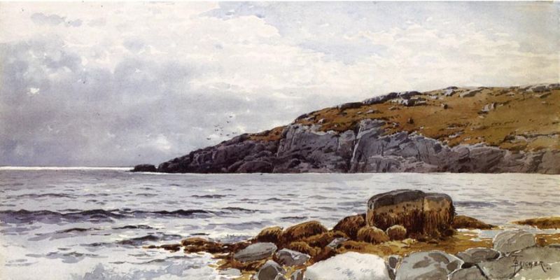 Rocky Coastline