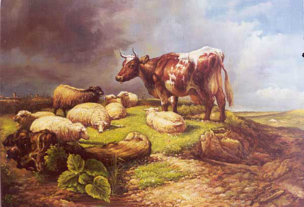 Sheep Paintings N005