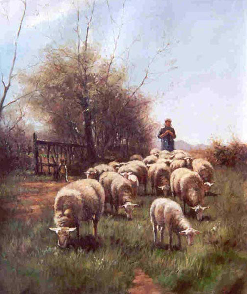 Sheep Paintings N008