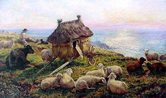 Sheep Paintings N009